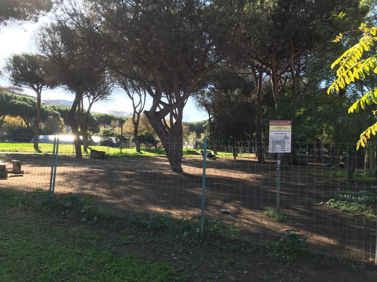 Ferienwohnung Attico Via Capo Soprano Lido di Ostia Exterior foto